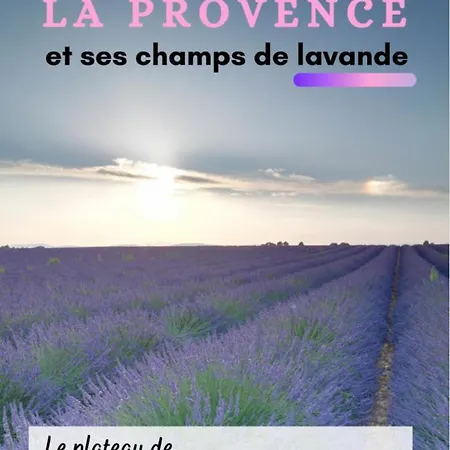 Clea Affittacamere